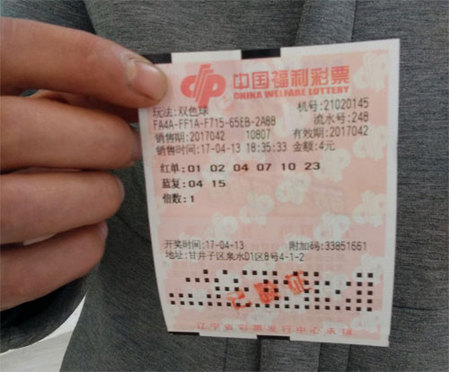 埃及猫原视频
