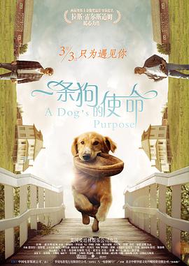 中国小帅男gayxnxx