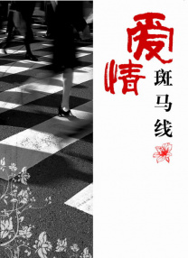 国产精品二区在线